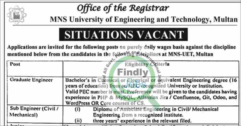 MNS University of Engineering and Technology Jobs March 2024