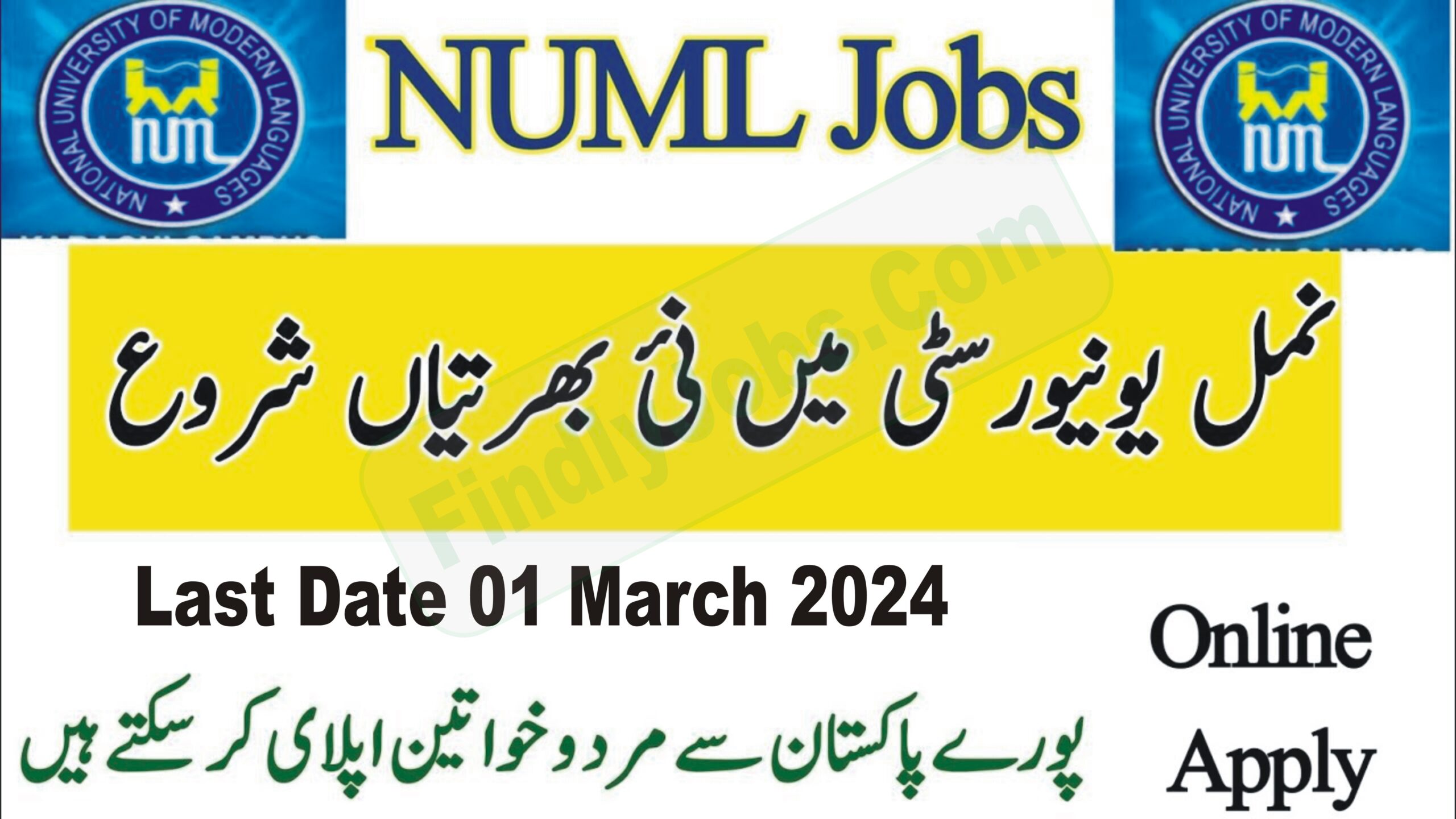 NUML University Jobs March 2024 ads