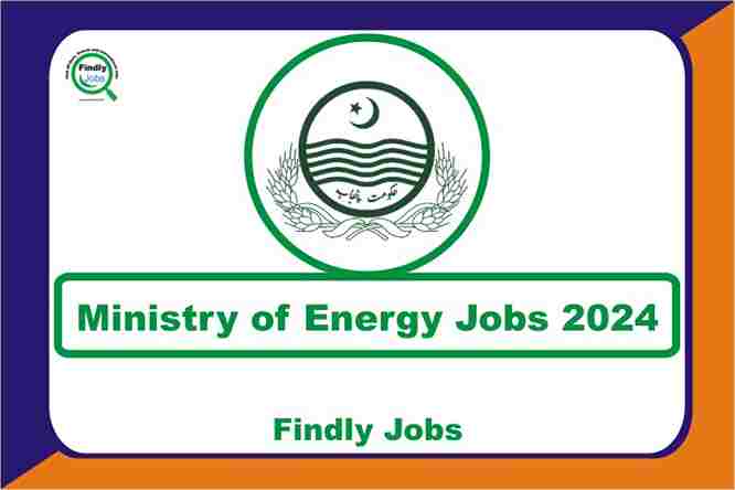 Ministry of Energy Jobs 2024 www.power.gov.pk
