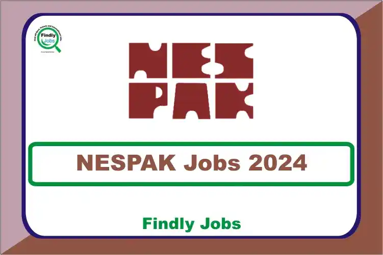 National Engineering Services Pakistan NESPAK Jobs 2024 www.nespak.com.pk