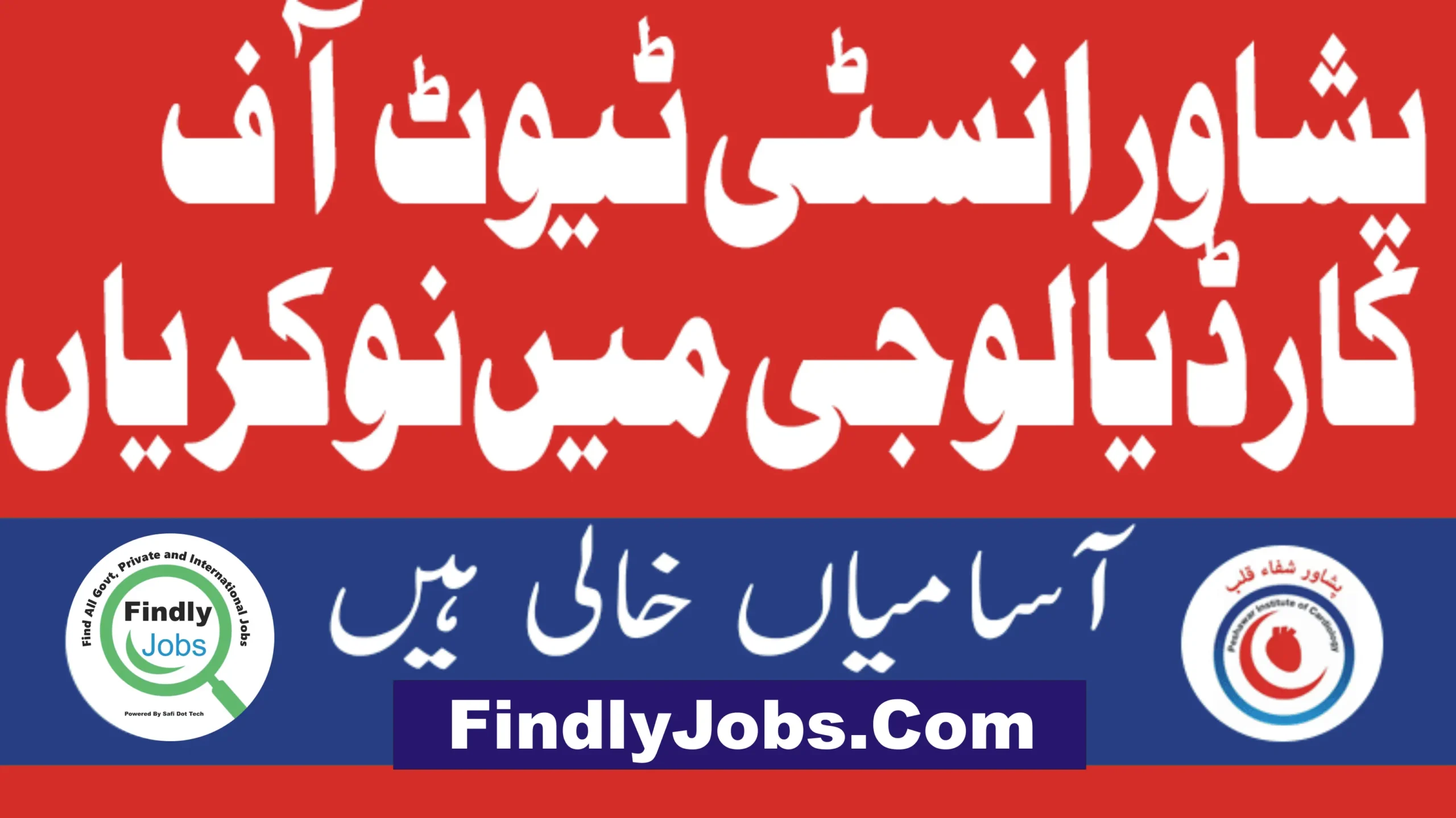Peshawar Institute of Cardiology PIC Jobs 2024 Apply Online