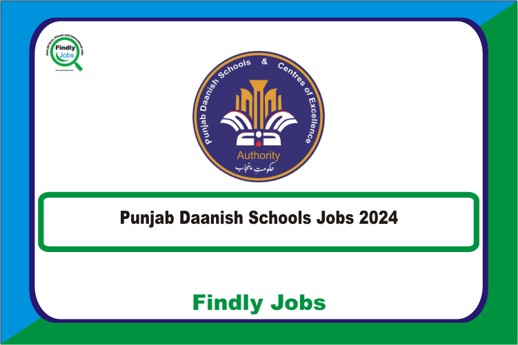 Punjab Daanish Schools for Boys & Girls Rahim Yar Khan Jobs 2024