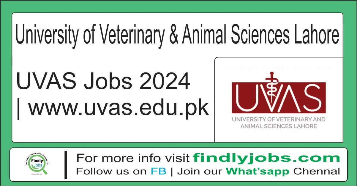 University of Veterinary & Animal Sciences Lahore UVAS Jobs 2024 www.uvas.edu.pk