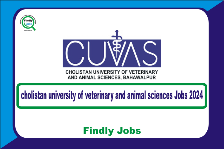 Cholistan University Bahawalpur Jobs 2024 | www.cuvas.edu.pk